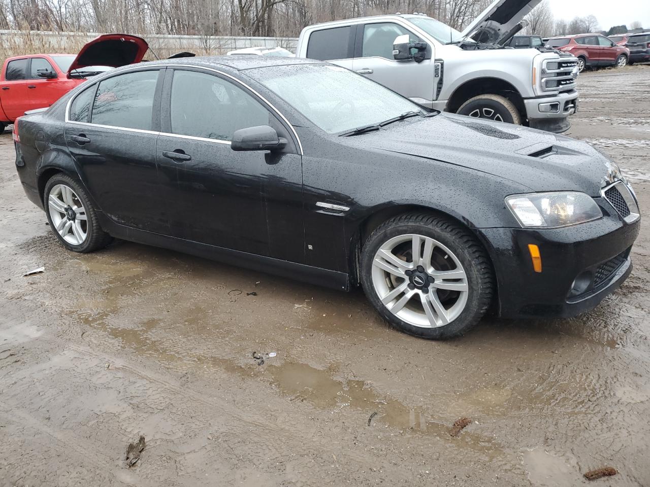 2009 Pontiac G8 VIN: 6G2ER57719L184203 Lot: 84380324