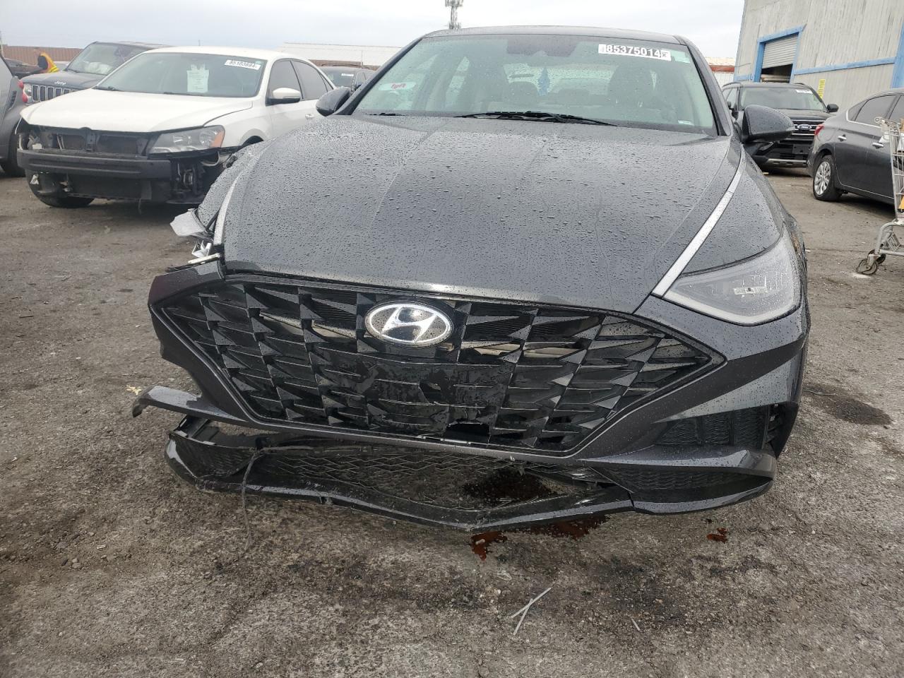 2021 Hyundai Sonata Sel VIN: KMHL64JA5MA159313 Lot: 85375014