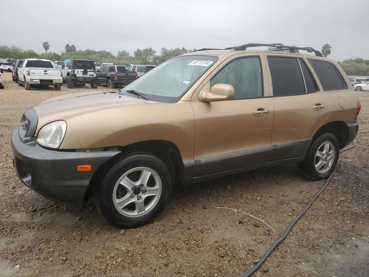 KM8SC13D64U638588 2004 Hyundai Santa Fe Gls