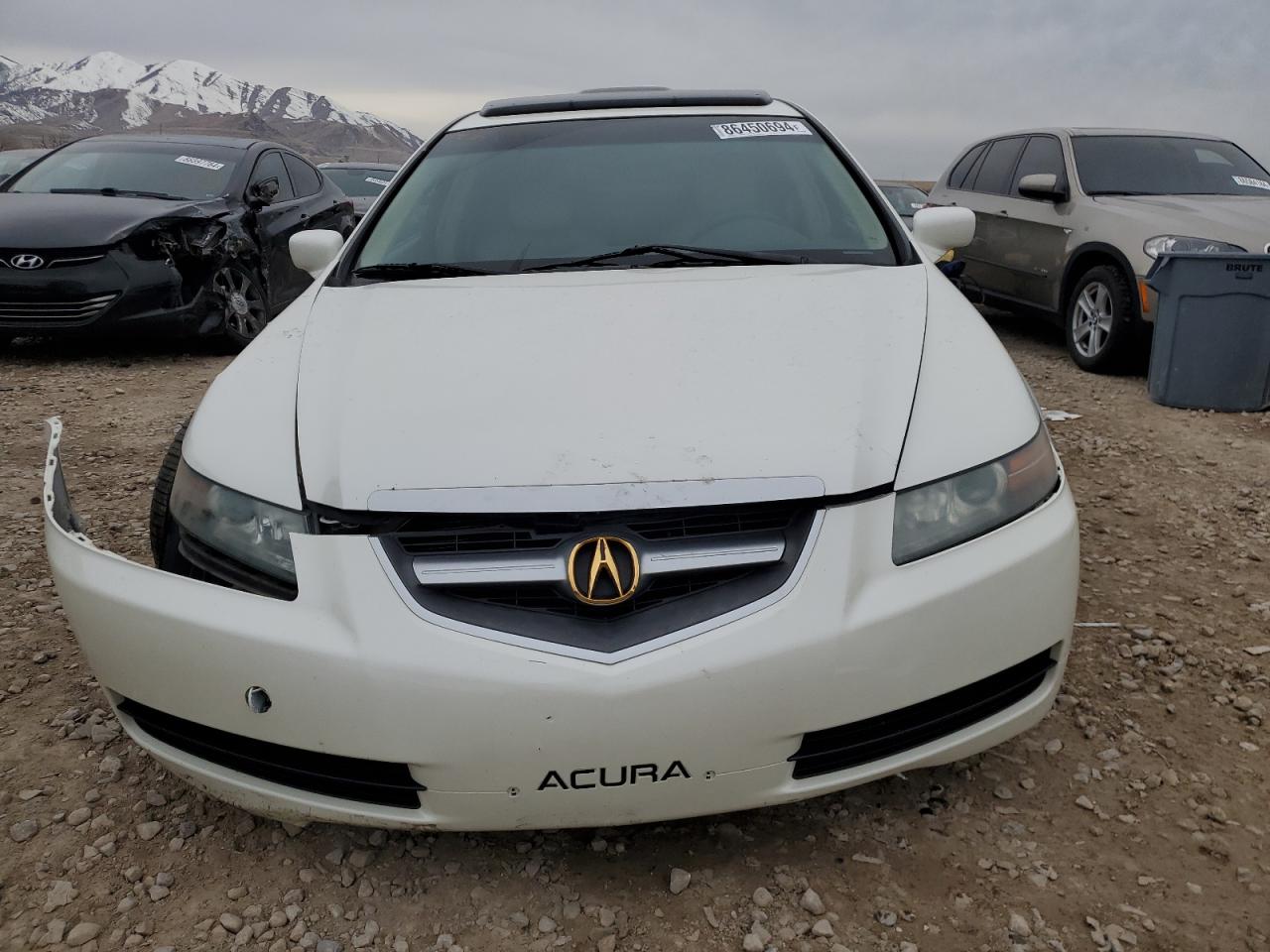 19UUA66265A081342 2005 Acura Tl