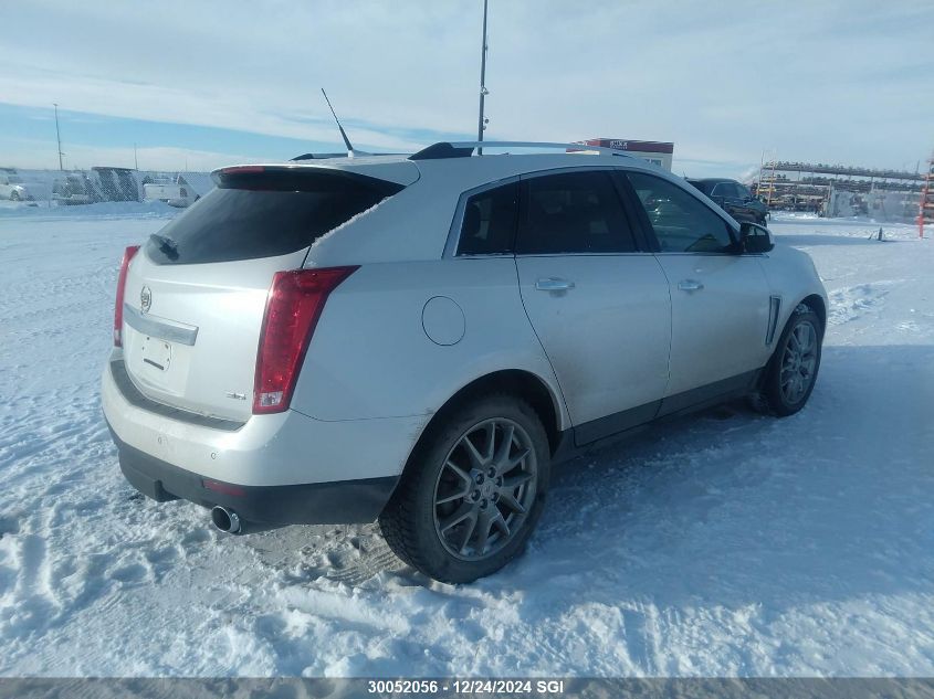 2013 Cadillac Srx Premium Collection VIN: 3GYFNJE35DS646888 Lot: 30052056