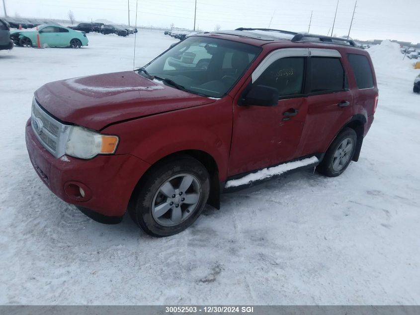 2009 Ford Escape Xlt VIN: 1FMCU93739KC84204 Lot: 30052503