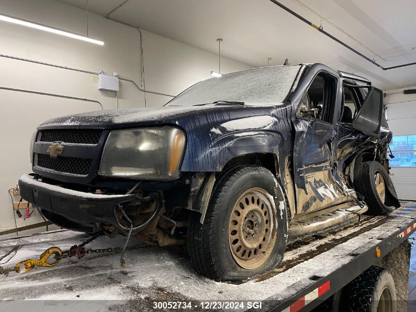 2008 Chevrolet Trailblazer Ls/Lt VIN: 1GNDT13S882202930 Lot: 30052734