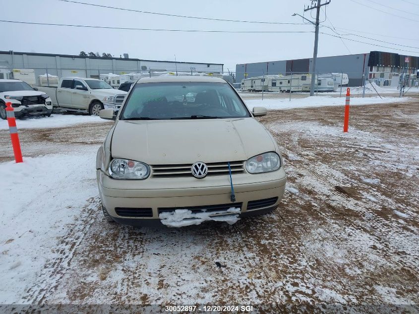 2004 Volkswagen Golf Gls Tdi VIN: 9BWGR61J644018750 Lot: 30052897