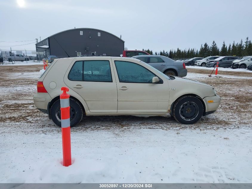 2004 Volkswagen Golf Gls Tdi VIN: 9BWGR61J644018750 Lot: 30052897