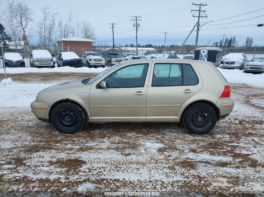 2004 Volkswagen Golf Gls Tdi VIN: 9BWGR61J644018750 Lot: 30052897