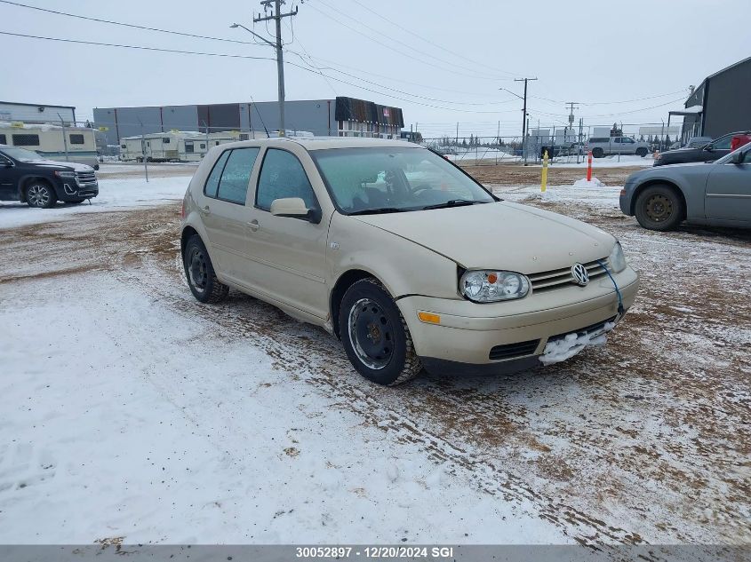 2004 Volkswagen Golf Gls Tdi VIN: 9BWGR61J644018750 Lot: 30052897