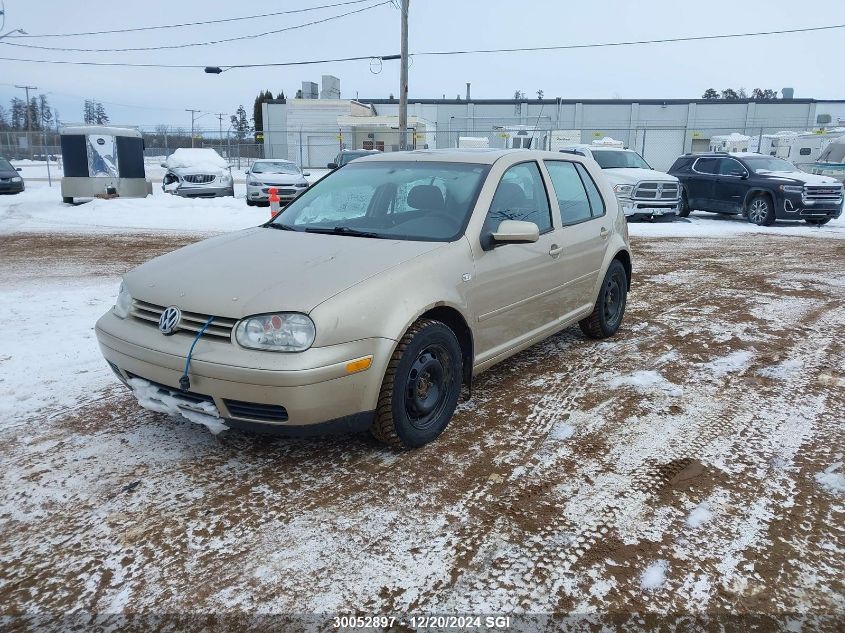 2004 Volkswagen Golf Gls Tdi VIN: 9BWGR61J644018750 Lot: 30052897