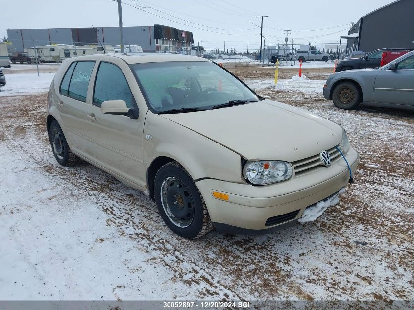 2004 Volkswagen Golf Gls Tdi VIN: 9BWGR61J644018750 Lot: 30052897