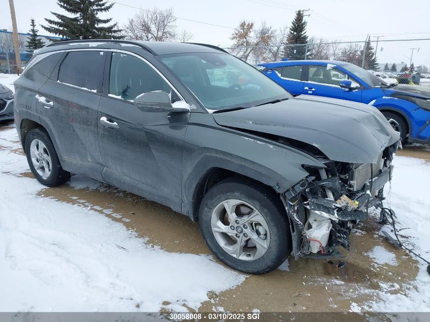 2024 Hyundai Tucson Sel VIN: KM8JBCDE5RU329980 Lot: 30058008