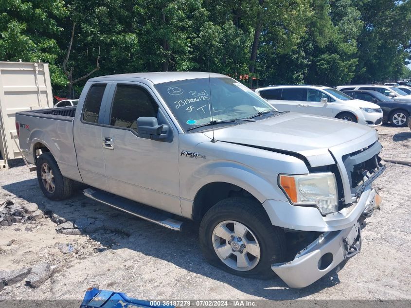 2010 Ford F-150 Stx/Xl/Xlt VIN: 1FTEX1E88AFA41030 Lot: 35187279