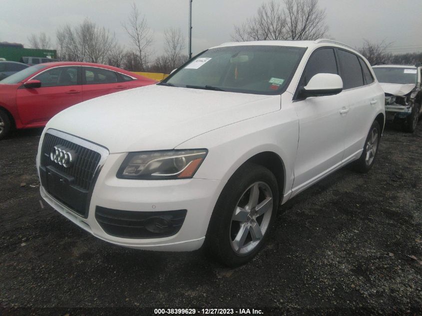 2011 Audi Q5 2.0T Premium VIN: WA1LFAFP1BA032176 Lot: 38399629