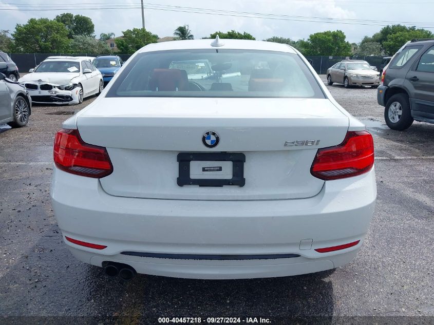 2018 BMW 230I VIN: WBA2J1C56JVD09253 Lot: 40457218