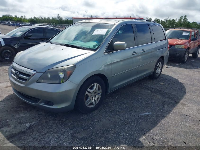 2006 Honda Odyssey Ex-L VIN: 5FNRL38786B036367 Lot: 40537351