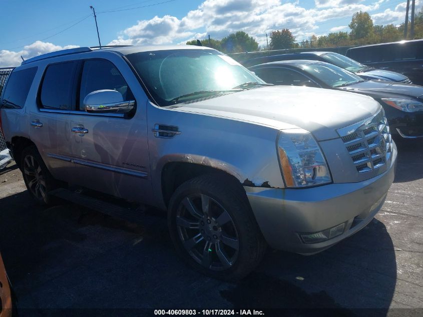 2010 Cadillac Escalade Premium VIN: 1GYUKCEF8AR146972 Lot: 40609803