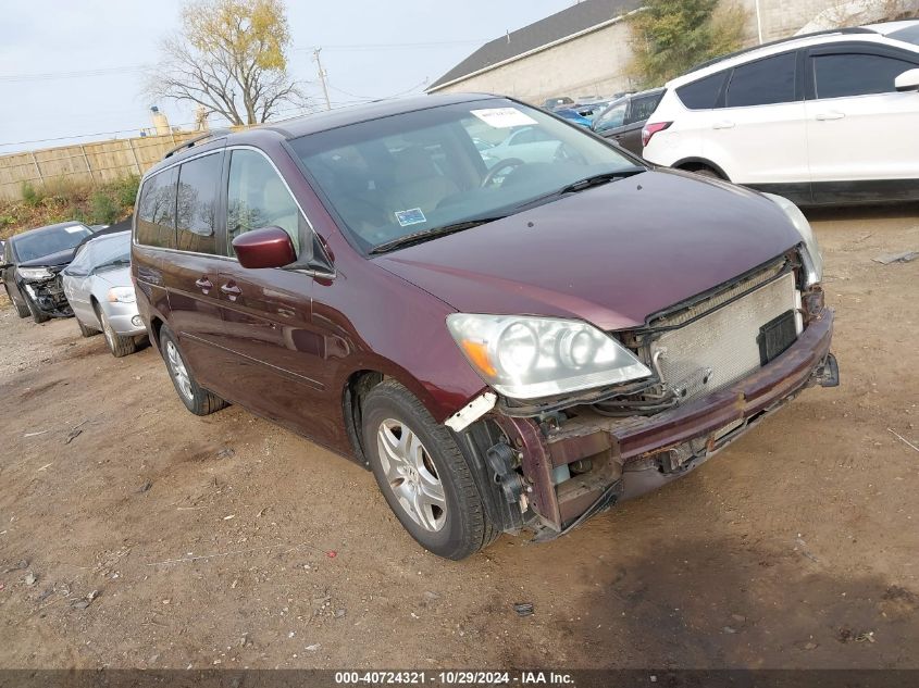 2007 Honda Odyssey Ex-L VIN: 5FNRL386X7B460934 Lot: 40724321