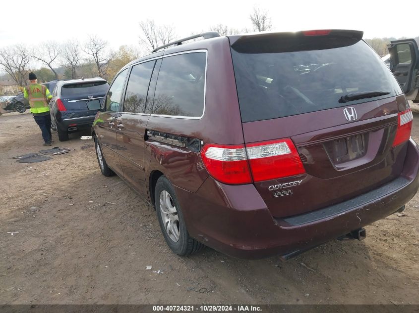 2007 Honda Odyssey Ex-L VIN: 5FNRL386X7B460934 Lot: 40724321