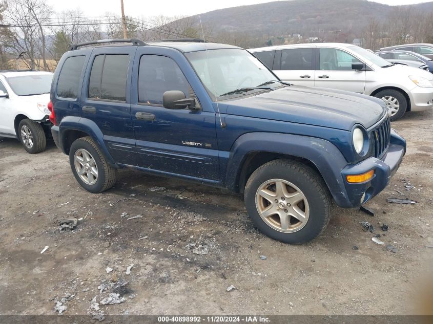 2003 Jeep Liberty Limited VIN: 1J4GK58K73W506206 Lot: 40898992