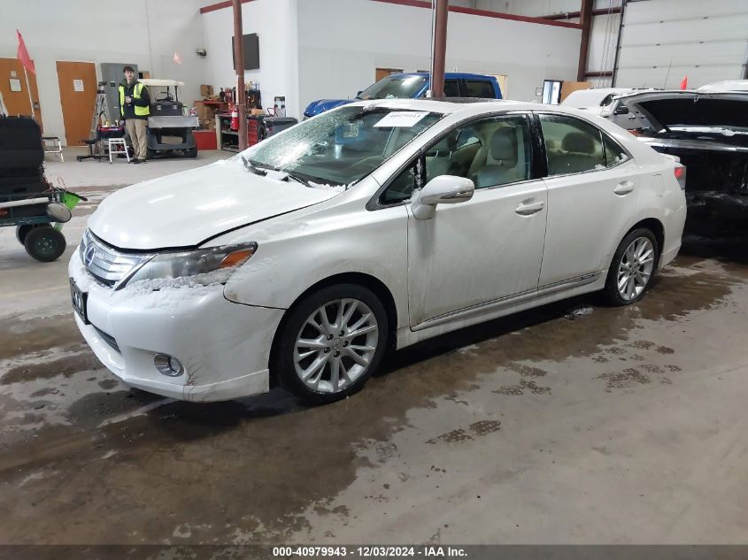 2010 Lexus Hs 250H Premium VIN: JTHBB1BA1A2010359 Lot: 40979943