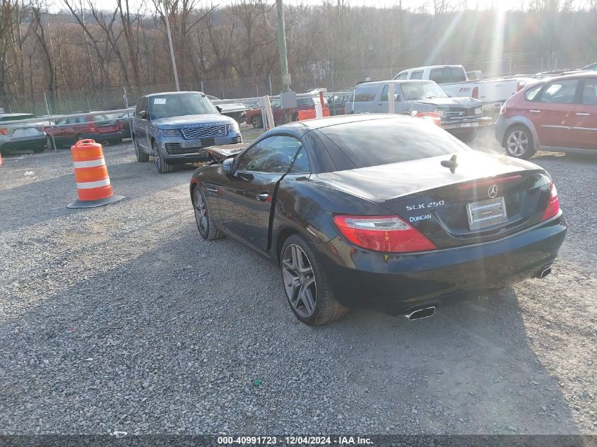 2015 Mercedes-Benz Slk 250 VIN: WDDPK4HA0FF106473 Lot: 40991723