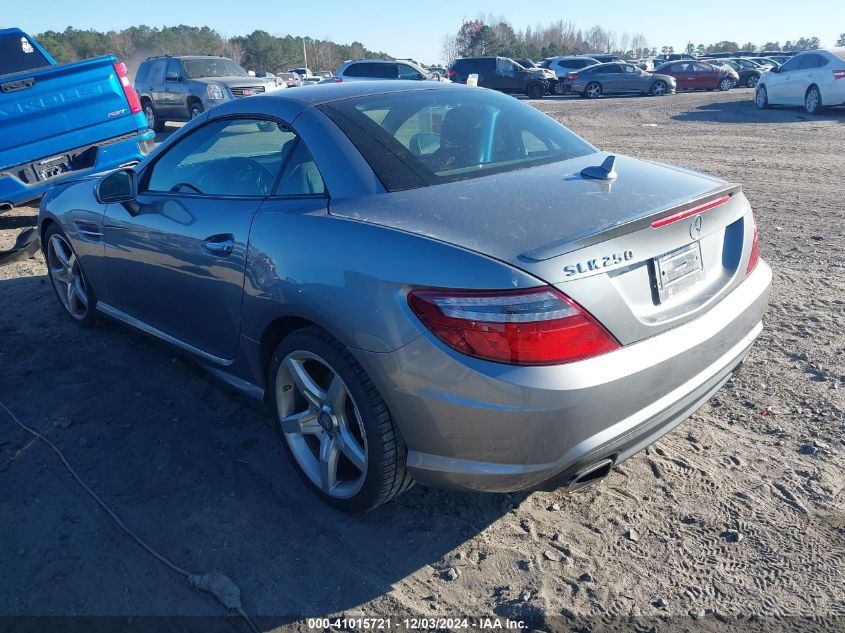 2014 Mercedes-Benz Slk 250 VIN: WDDPK4HA0EF087941 Lot: 41015721