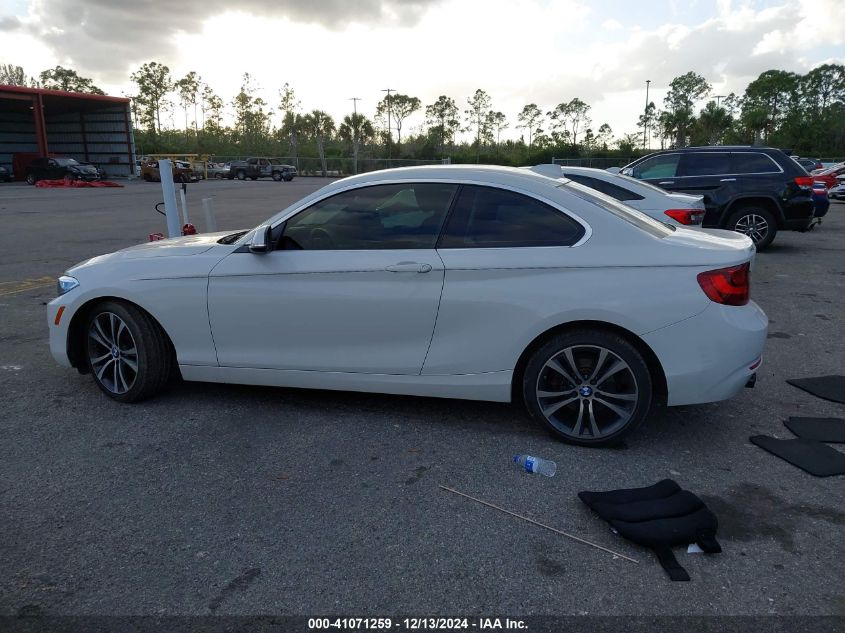 2017 BMW 230I VIN: WBA2F9C53HV664307 Lot: 41071259