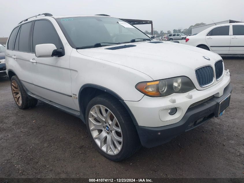 2005 BMW X5 3.0I VIN: 5UXFA135X5LY20028 Lot: 41074112