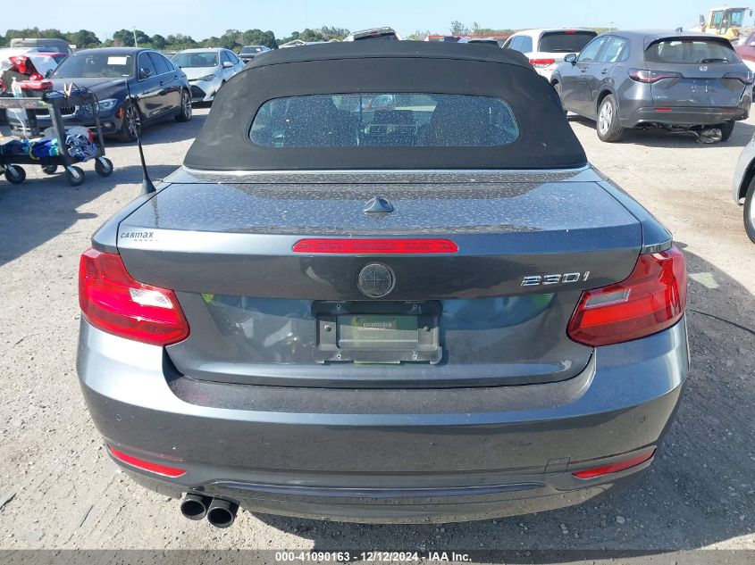 2017 BMW 230I VIN: WBA2K9C30HV950450 Lot: 41090163