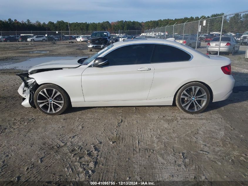 2015 BMW 228I VIN: WBA1F5C5XFV257425 Lot: 41095755