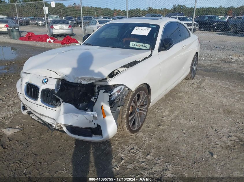 2015 BMW 228I VIN: WBA1F5C5XFV257425 Lot: 41095755