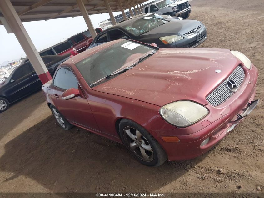 2002 Mercedes-Benz Slk 320 VIN: WDBKK65F02F249156 Lot: 41106484