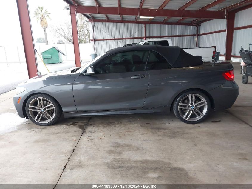 2017 BMW 230I VIN: WBA2K9C52HV647106 Lot: 41109589