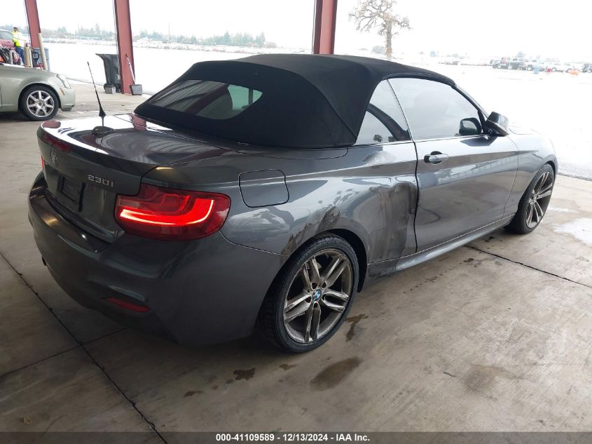 2017 BMW 230I VIN: WBA2K9C52HV647106 Lot: 41109589