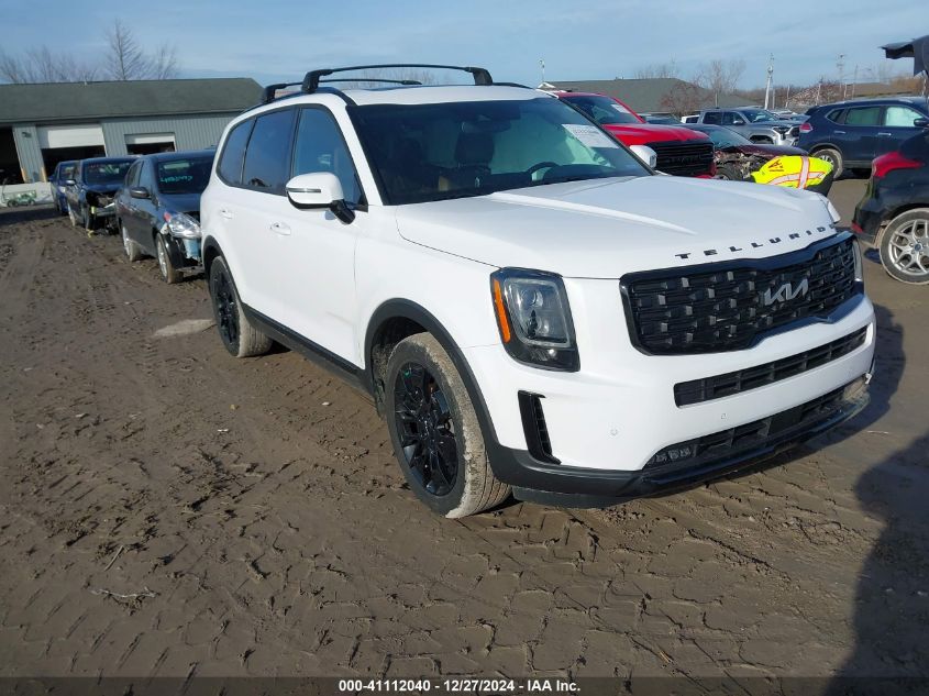 2022 Kia Telluride Sx VIN: 5XYP5DHC8NG211793 Lot: 41112040