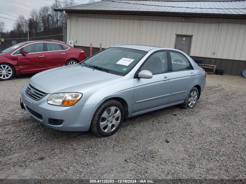 2008 Kia Spectra Ex VIN: KNAFE121985503559 Lot: 41125253