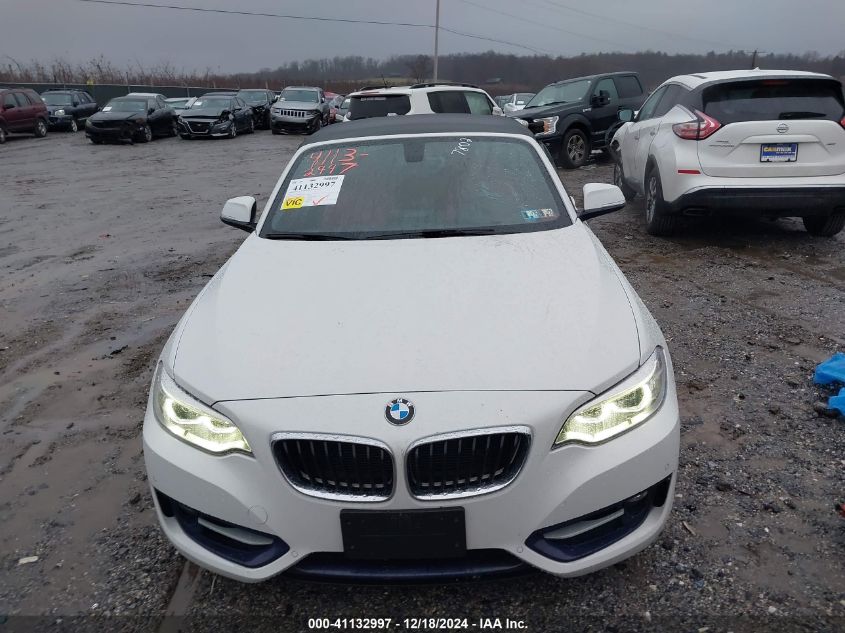 2016 BMW 228I xDrive VIN: WBA1L9C59GV767802 Lot: 41132997