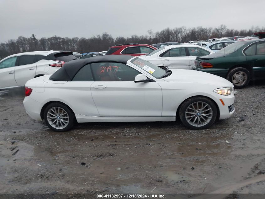 2016 BMW 228I xDrive VIN: WBA1L9C59GV767802 Lot: 41132997