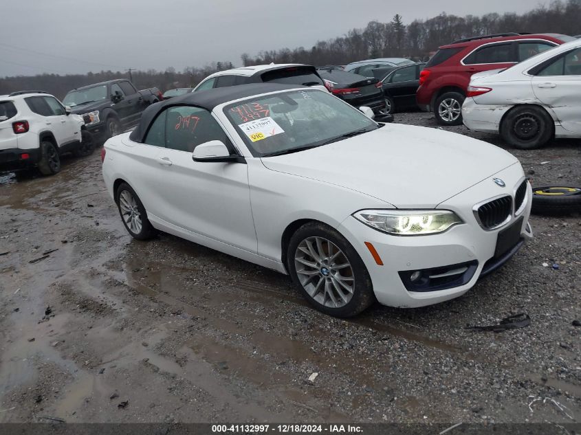 2016 BMW 228I xDrive VIN: WBA1L9C59GV767802 Lot: 41132997