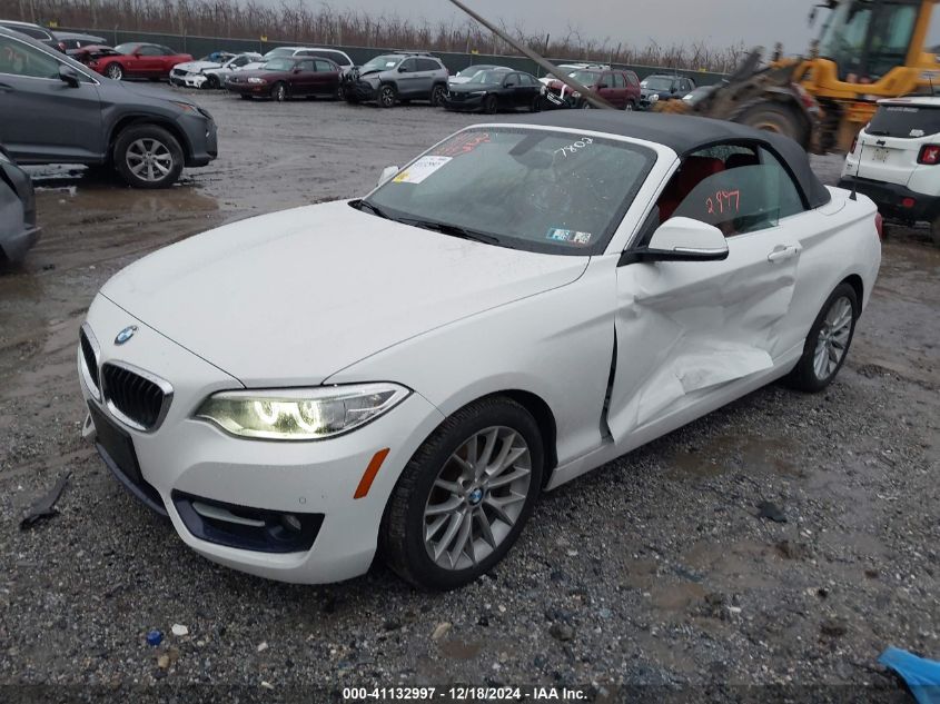 2016 BMW 228I xDrive VIN: WBA1L9C59GV767802 Lot: 41132997