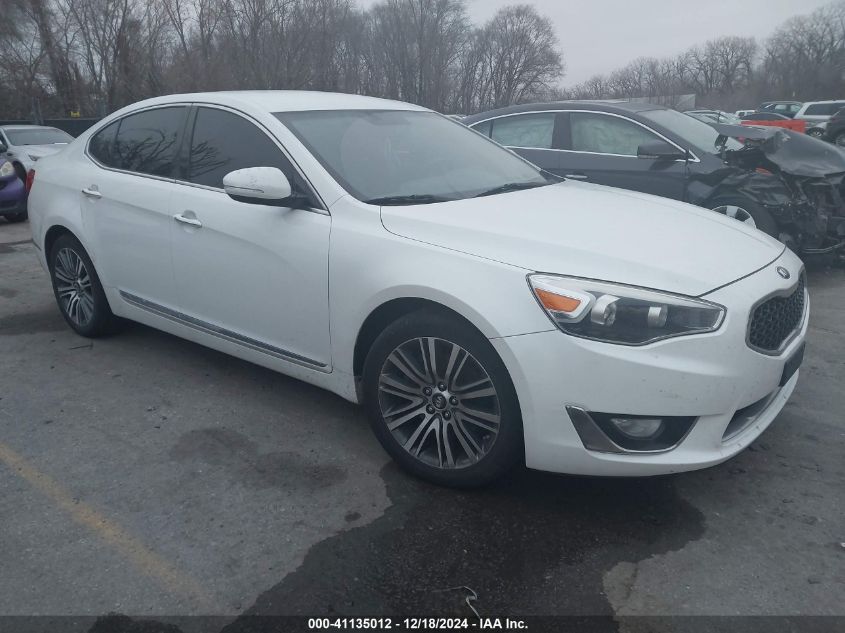 2015 Kia Cadenza Premium/Limited VIN: KNALN4D72F5171502 Lot: 41135012