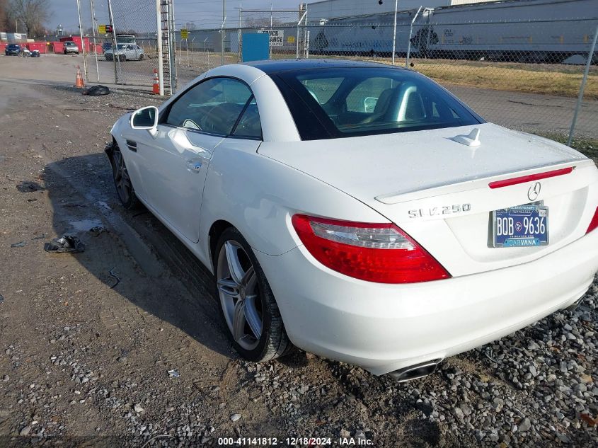 2014 Mercedes-Benz Slk 250 VIN: WDDPK4HA2EF085432 Lot: 41141812