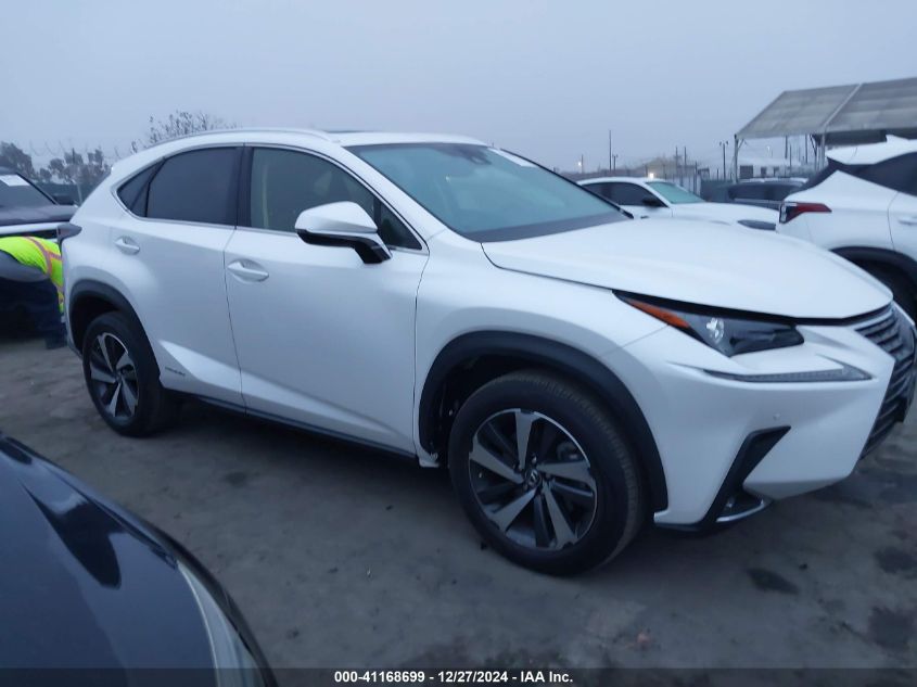 2020 Lexus Nx 300H VIN: JTJGJRDZ5L5004302 Lot: 41168699