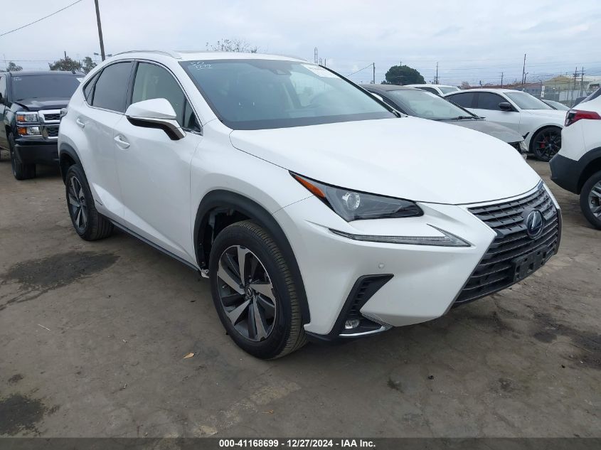 2020 Lexus Nx 300H VIN: JTJGJRDZ5L5004302 Lot: 41168699