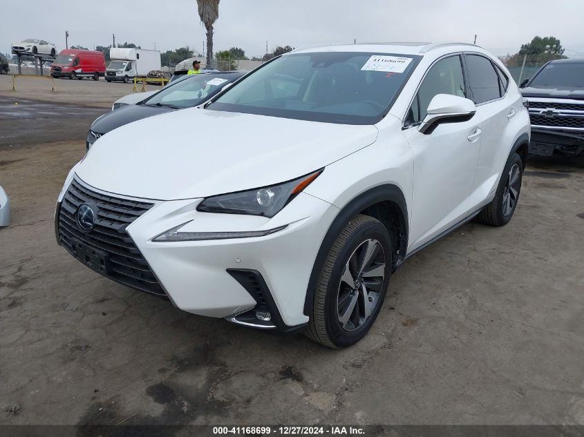 2020 Lexus Nx 300H VIN: JTJGJRDZ5L5004302 Lot: 41168699