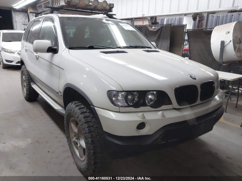 2002 BMW X5 3.0I VIN: 5UXFA53532LP28889 Lot: 41180531