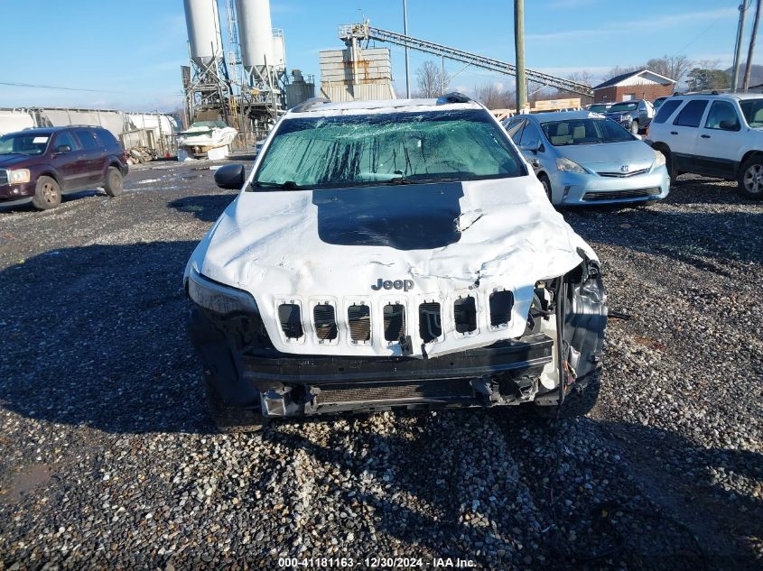 2019 Jeep Cherokee Trailhawk VIN: 1C4PJMBX6KD341413 Lot: 41181163