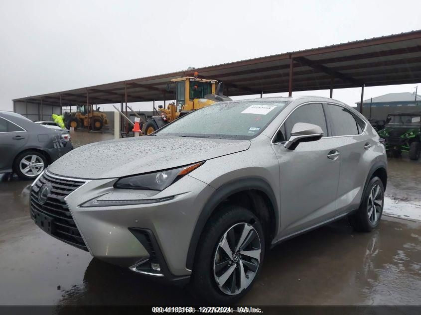 2021 Lexus Nx 300 VIN: JTJGARBZ0M2190093 Lot: 41183168