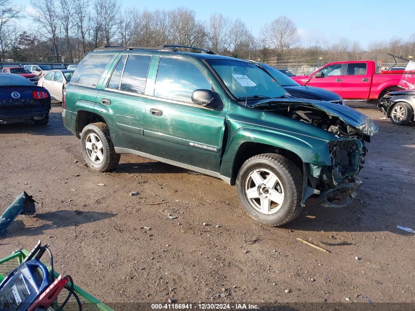 2002 Chevrolet Trailblazer VIN: 1GNDT13S522436336 Lot: 41186941