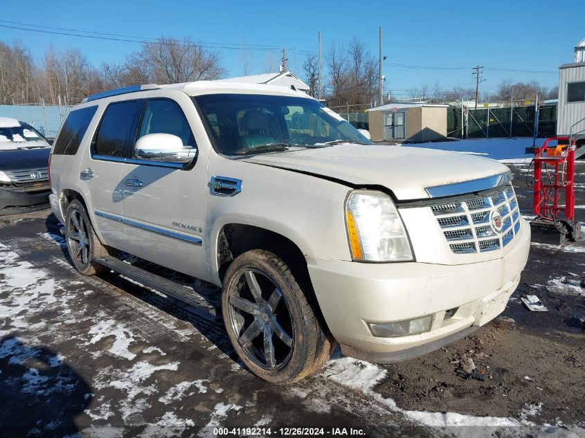 2009 Cadillac Escalade Hybrid Standard VIN: 1GYFK33599R100257 Lot: 41192214