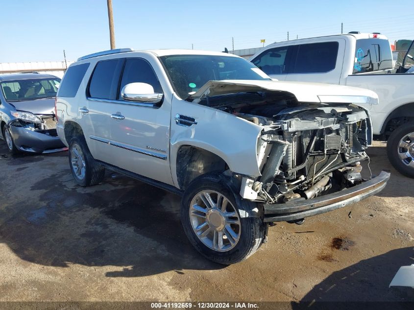 2008 Cadillac Escalade Standard VIN: 1GYEC63868R231682 Lot: 41192659